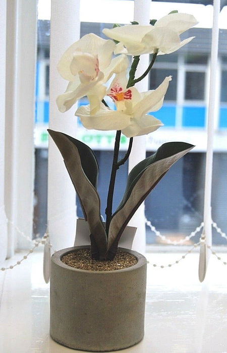 Artificial White Orchid In Grey Pot Ideal Gift 30cm Artificial Orchid Decorative