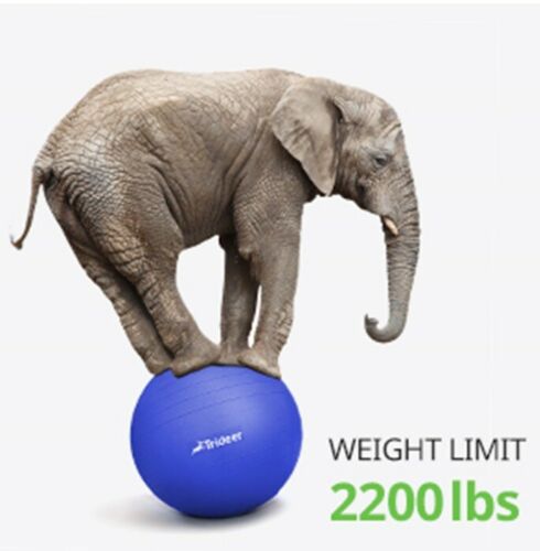 Trideer Extra Thick Yoga Ball 75cm Anti Burst Pilates Fitness Pregnancy Ball